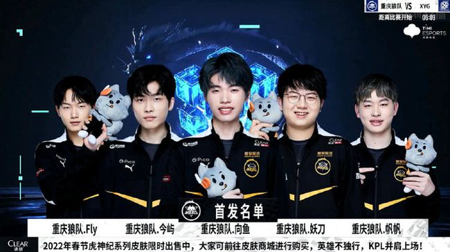 森納的財務